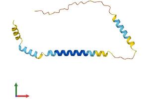 AlphaFold protein structure predicition of Mouse Recombinant Slc51b Protein, UniprotID Q80WK2