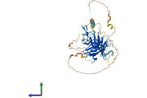 Protein Structure (PS) image for Tubby Like Protein 3 (TULP3) (AA 1-442) protein (His tag) (ABIN7544822)