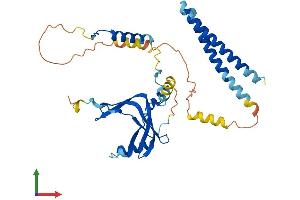 Protein Structure (PS) image for TAF7 RNA Polymerase II, TATA Box Binding Protein (TBP)-Associated Factor, 55kDa (TAF7) (AA 1-349) protein (His tag) (ABIN7544113)