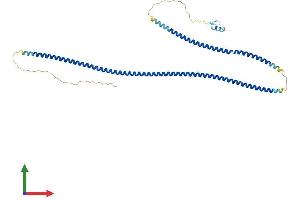 AlphaFold protein structure predicition of Human Recombinant IKBKG Protein, UniprotID Q9Y6K9