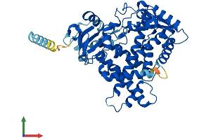 AlphaFold protein structure predicition of Mouse Recombinant Cyp2b19 Protein, UniprotID O55071 (CYP2B19 Protein (AA 1-492) (His tag))