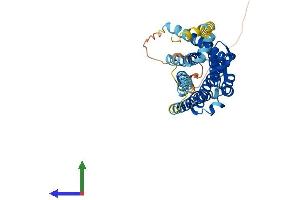 Protein Structure (PS) image for Opioid Receptor, kappa 1 (OPRK1) (AA 1-380) protein (His tag) (ABIN7554845)