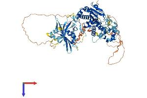 C4ORF23 Protein (AA 1-757) (His tag)