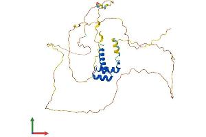 Protein Structure (PS) image for Homeobox D9 (HOXD9) (AA 1-352) protein (His tag) (ABIN7548399)