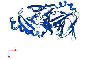 HAAO Protein (AA 1-286) (His tag)