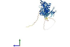 Protein Structure (PS) image for Ring Finger Protein 14 (RNF14) (AA 1-485) protein (His tag) (ABIN7561537)
