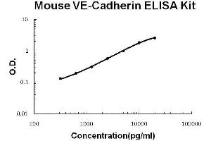 Mouse VE-Cadherin/CD144 PicoKine ELISA Kit standard curve (Cadherin 5 ELISA Kit)