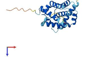 BAX Protein (AA 1-192) (His tag)