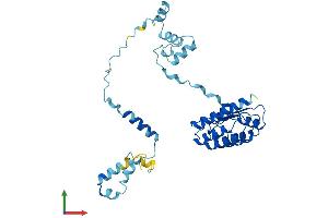 Protein Structure (PS) image for Tropomodulin 4 (TMOD4) (AA 1-345) protein (His tag) (ABIN7544494)