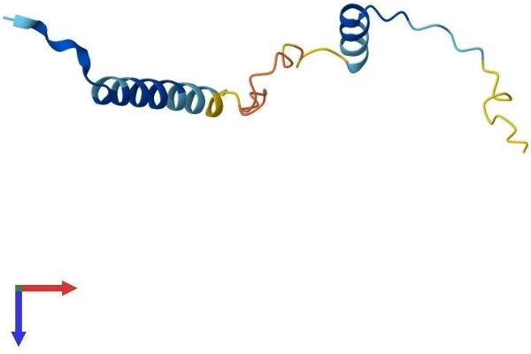 CDC26 Protein (AA 1-85) (Fc Tag)