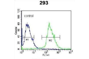Flow Cytometry (FACS) image for anti-Kallikrein 6 (KLK6) antibody (ABIN3002615) (Kallikrein 6 Antikörper)