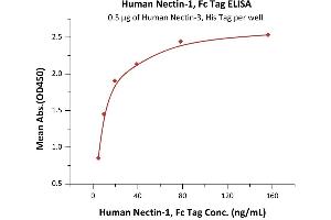 ELISA image for Poliovirus Receptor-Related 1 (Herpesvirus Entry Mediator C) (PVRL1) (AA 31-334) (Active) protein (Fc Tag) (ABIN6952290)