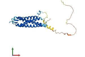 Protein Structure (PS) image for Synaptogyrin 3 (SYNGR3) (AA 1-229) protein (His tag) (ABIN7559658)