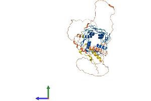 AlphaFold protein structure predicition of Human Recombinant ZNF677 Protein, UniprotID Q86XU0