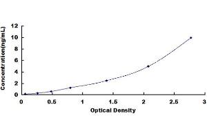 ELISA image for Prostaglandin Reductase 1 (PTGR1) ELISA Kit (ABIN419208)