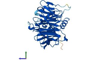 Protein Structure (PS) image for THO Complex 6 Homolog (THOC6) (AA 1-341) protein (His tag) (ABIN7557562)