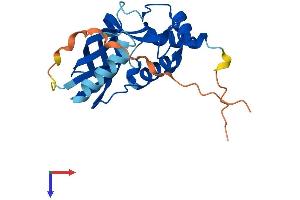 CHAC1 Protein (AA 1-223) (His tag)
