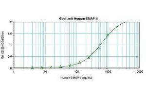 Image no. 1 for anti-AIMP1 / EMAP II antibody (ABIN465271) (AIMP1 / EMAP II Antikörper)