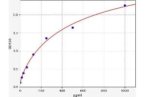 Chemokine (C-C Motif) Ligand 19 (CCL19) ELISA Kit