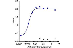Immobilized human CLDN6 (VLP, 8 μg/mL) can bind to Anti- Human CLDN6( IMAB027) with an EC50 of 0.