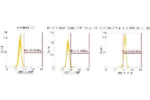 Flow Cytometry (FACS) image for anti-Interleukin 15 (IL15) (AA 49-162) antibody (PE) (ABIN5565745) (IL-15 Antikörper  (AA 49-162) (PE))