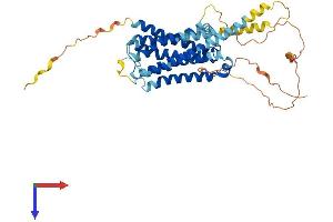Serotonin Receptor 6 Protein (HTR6) (AA 1-440) (His tag)