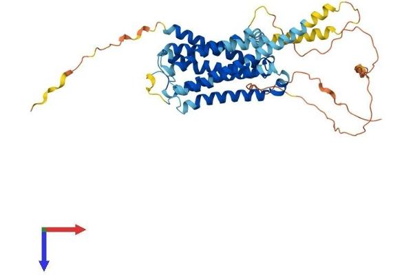 Serotonin Receptor 6 Protein (HTR6) (AA 1-440) (His tag)