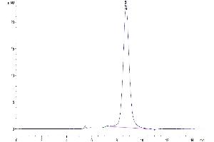 Size-exclusion chromatography-High Pressure Liquid Chromatography (SEC-HPLC) image for Glycoprotein VI (Platelet) (GP6) (AA 21-267) protein (His tag) (ABIN7274760)
