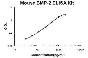 Mouse BMP-2 EZ Set ELISA Kit standard curve