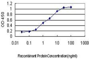 Detection limit for recombinant GST tagged SSR1 is approximately 0. (SSR1 Antikörper  (AA 33-286))