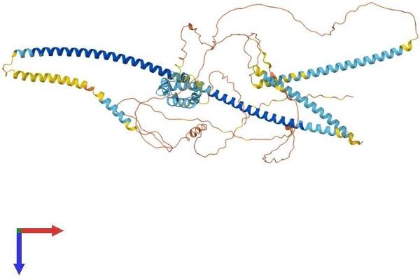CCPG1 Protein (AA 1-757) (His tag)