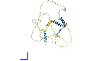 Protein Structure (PS) image for ALX Homeobox 1 (ALX1) (AA 1-326) protein (His tag) (ABIN7559195)