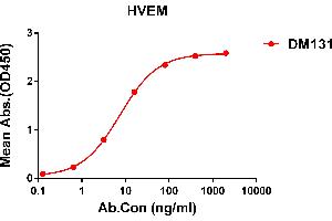 ELISA plate pre-coated by 1 μg/mL (100 μL/well) Human HVEM protein, His tagged protein ((ABIN6964089, ABIN7042433 and ABIN7042434)) can bind Rabbit anti-HVEM monoclonal antibody(clone: DM131) in a linear range of 0. (HVEM Antikörper  (AA 39-202))