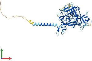 Protein Structure (PS) image for Transmembrane Protease, serine 4 (TMPRSS4) (AA 1-437) protein (His tag) (ABIN7544423)
