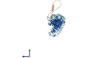 Protein Structure (PS) image for Leucine Rich Repeat Containing 8 Family, Member E (LRRC8E) (AA 1-796) protein (His tag) (ABIN7554473)
