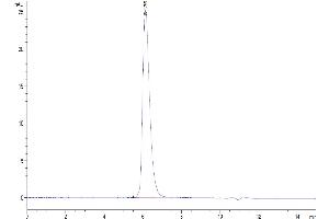 Size-exclusion chromatography-High Pressure Liquid Chromatography (SEC-HPLC) image for Signal-Regulatory Protein alpha (SIRPA) (AA 31-370) protein (Fc-Avi Tag,Biotin) (ABIN7275673)