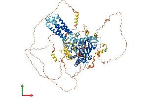 AlphaFold protein structure predicition of Mouse Recombinant Dagla Protein, UniprotID Q6WQJ1