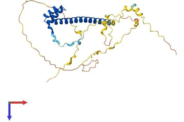 TLX3 Protein (AA 1-291) (His tag)