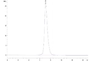 Size-exclusion chromatography-High Pressure Liquid Chromatography (SEC-HPLC) image for Interleukin 2 Receptor, gamma (IL2RG) (AA 23-254) protein (Fc Tag) (ABIN7274070)