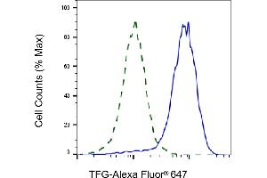 Validation of TFG knockdown using flow cytometry. (Rekombinanter TFG Antikörper)