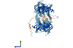AlphaFold protein structure predicition of Mouse Recombinant Abcb1a Protein, UniprotID P21447 (ATP-Binding Cassette, Sub-Family B (MDR/TAP), Member 1A (ABCB1A) (AA 1-1276) protein (His tag))