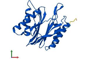 Protein Structure (PS) image for Proteasome (Prosome, Macropain) Subunit, beta Type 2 (PSMB2) (AA 1-201) protein (His tag) (ABIN7551069)