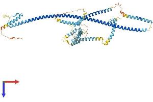 CEP70 Protein (AA 1-597) (His tag)
