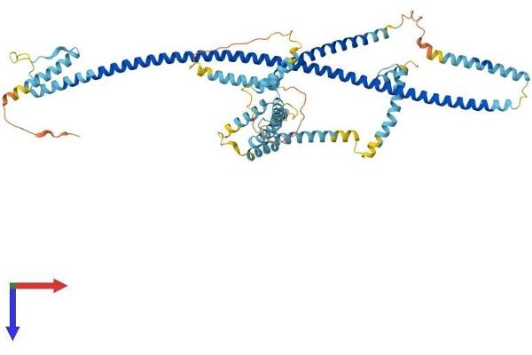 CEP70 Protein (AA 1-597) (His tag)