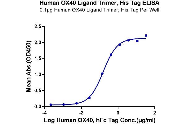 TNFSF4 Protein (Trimer) (His-DYKDDDDK Tag)