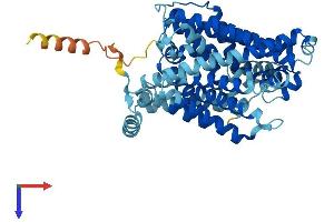 SLC7A9 Protein (AA 1-487) (His tag)