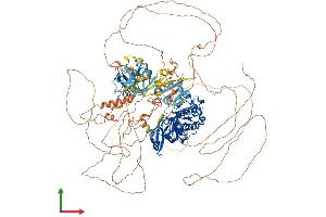 AlphaFold protein structure predicition of Human Recombinant PASK Protein, UniprotID Q96RG2 (PASK Protein (AA 1-1323) (His tag))