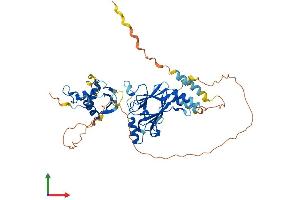 Protein Structure (PS) image for Interferon Regulatory Factor 6 (IRF6) (AA 1-467) protein (His tag) (ABIN7548570)