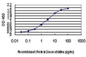 Detection limit for recombinant GST tagged CDK8 is approximately 0. (CDK8 Antikörper  (AA 375-464))
