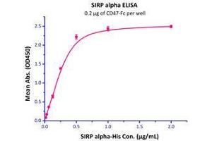 Binding Studies (Bind) image for CD47 (CD47) (AA 19-139) (Active) protein (Fc Tag) (ABIN2180805)